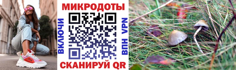 Псилоцибиновые грибы мухоморы  Купить закладки  Санкт-Петербург 